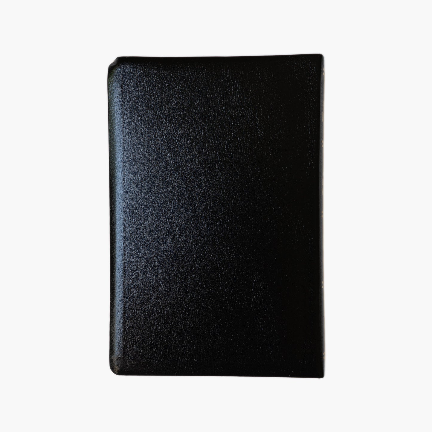 The Holy Bible (OE - Douay Rheims Translation)